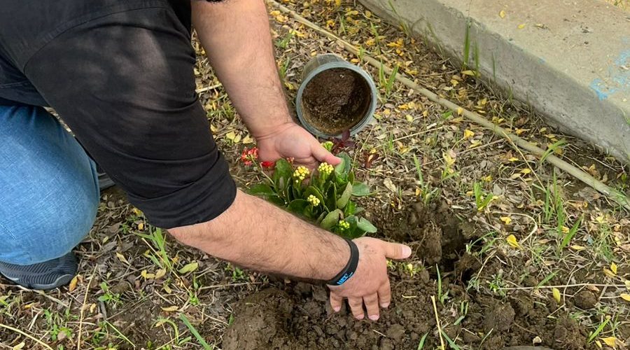 WhatsApp Image 2025-10-30 at 09.55.52_2b3217d9